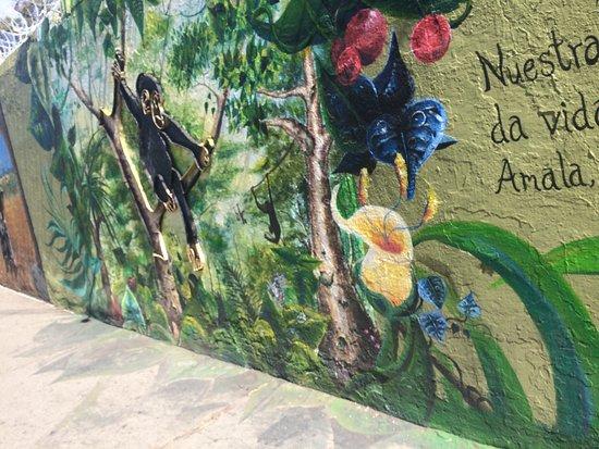 Parque Zoológico Benito Juárez